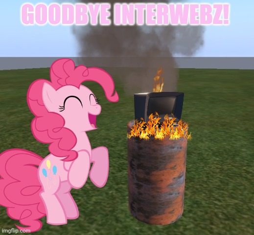 Pinkie is never going to Reddit again! | GOODBYE INTERWEBZ! | image tagged in pinkie pie,internet,reddit,my little pony,burn it all | made w/ Imgflip meme maker