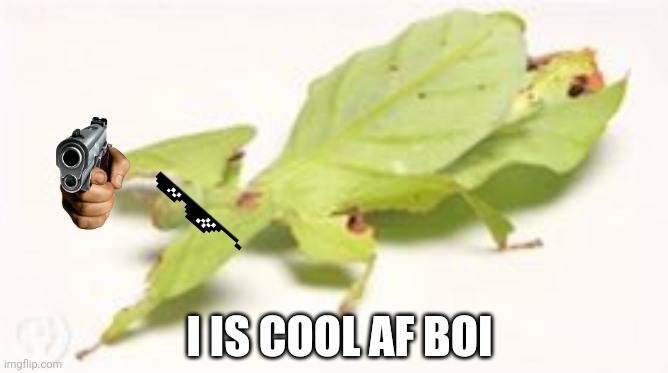 Gangsta leaf bug | I IS COOL AF BOI | image tagged in leafbug,cool,pixelshades,sunglasses,gangsta,gangster | made w/ Imgflip meme maker