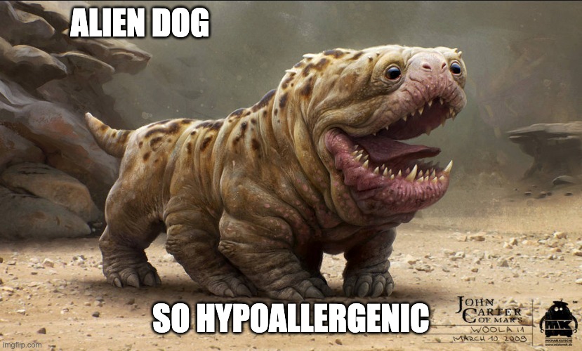 Finally, a sneeze-free dog | ALIEN DOG; SO HYPOALLERGENIC | image tagged in woola the wonder dog,cute,dog | made w/ Imgflip meme maker