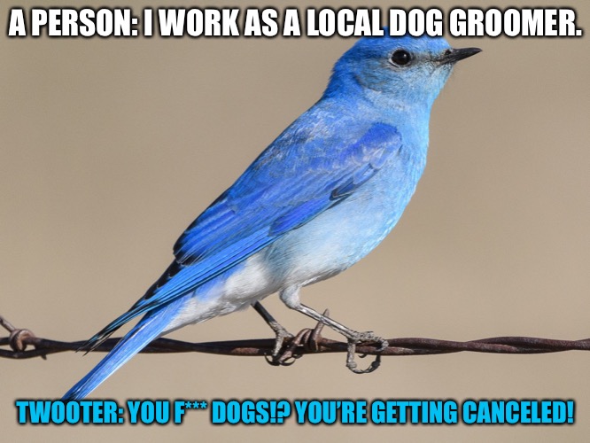 A PERSON: I WORK AS A LOCAL DOG GROOMER. TWOOTER: YOU F*** DOGS!? YOU’RE GETTING CANCELED! | made w/ Imgflip meme maker