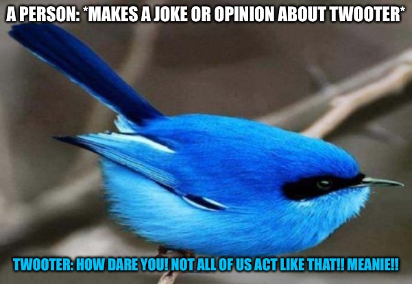 A PERSON: *MAKES A JOKE OR OPINION ABOUT TWOOTER*; TWOOTER: HOW DARE YOU! NOT ALL OF US ACT LIKE THAT!! MEANIE!! | made w/ Imgflip meme maker