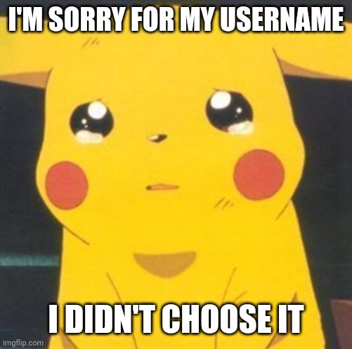I'm sorry sad pikachu | I'M SORRY FOR MY USERNAME; I DIDN'T CHOOSE IT | image tagged in i'm sorry sad pikachu | made w/ Imgflip meme maker