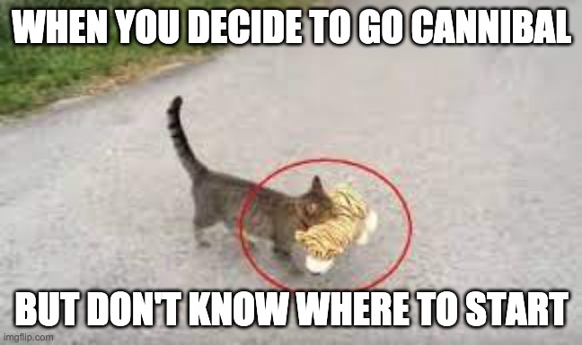 cattibal | WHEN YOU DECIDE TO GO CANNIBAL; BUT DON'T KNOW WHERE TO START | image tagged in memes,cat | made w/ Imgflip meme maker