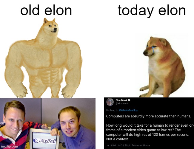 Oh Elon how far you've fallen | old elon; today elon | image tagged in memes,buff doge vs cheems,elon musk | made w/ Imgflip meme maker