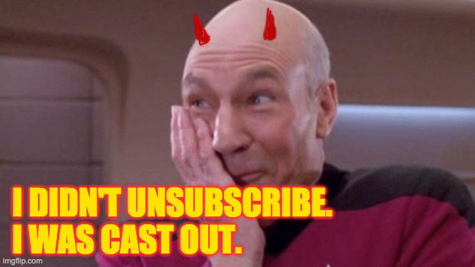 picard oops | I DIDN'T UNSUBSCRIBE. 
I WAS CAST OUT. | image tagged in picard oops | made w/ Imgflip meme maker