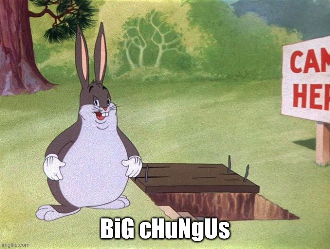 Big Chungus | BiG cHuNgUs | image tagged in big chungus | made w/ Imgflip meme maker