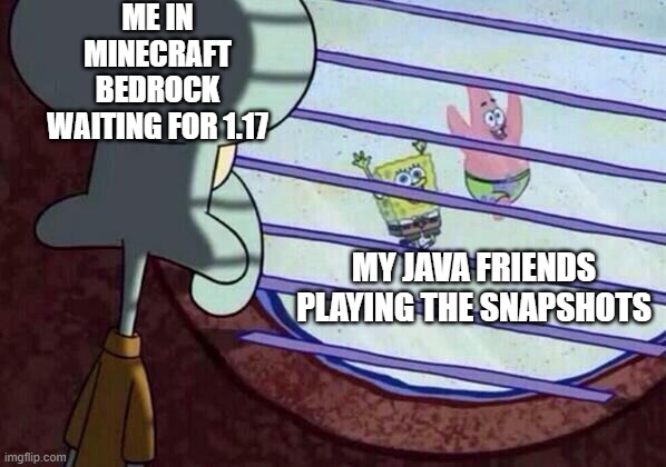 Squidward window | ME IN MINECRAFT BEDROCK WAITING FOR 1.17; MY JAVA FRIENDS PLAYING THE SNAPSHOTS | image tagged in squidward window | made w/ Imgflip meme maker