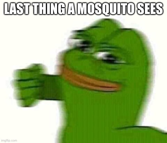 Pepe the frog punching | LAST THING A MOSQUITO SEES | image tagged in pepe the frog punching | made w/ Imgflip meme maker