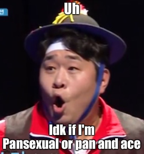 Uh | Uh; Idk if I'm Pansexual or pan and ace | image tagged in pogging seyoon higher quality | made w/ Imgflip meme maker