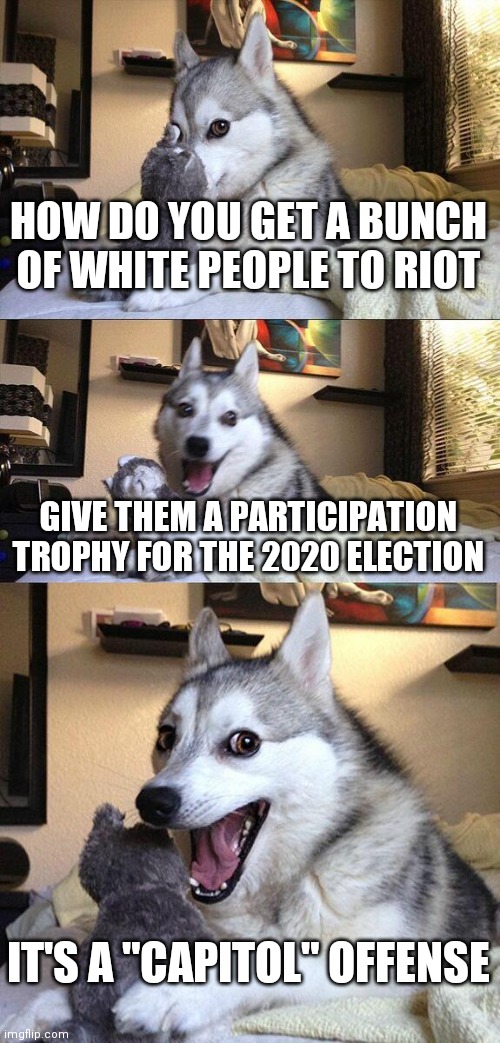 Bad Pun Dog Meme | HOW DO YOU GET A BUNCH OF WHITE PEOPLE TO RIOT; GIVE THEM A PARTICIPATION TROPHY FOR THE 2020 ELECTION; IT'S A "CAPITOL" OFFENSE | image tagged in memes,bad pun dog | made w/ Imgflip meme maker