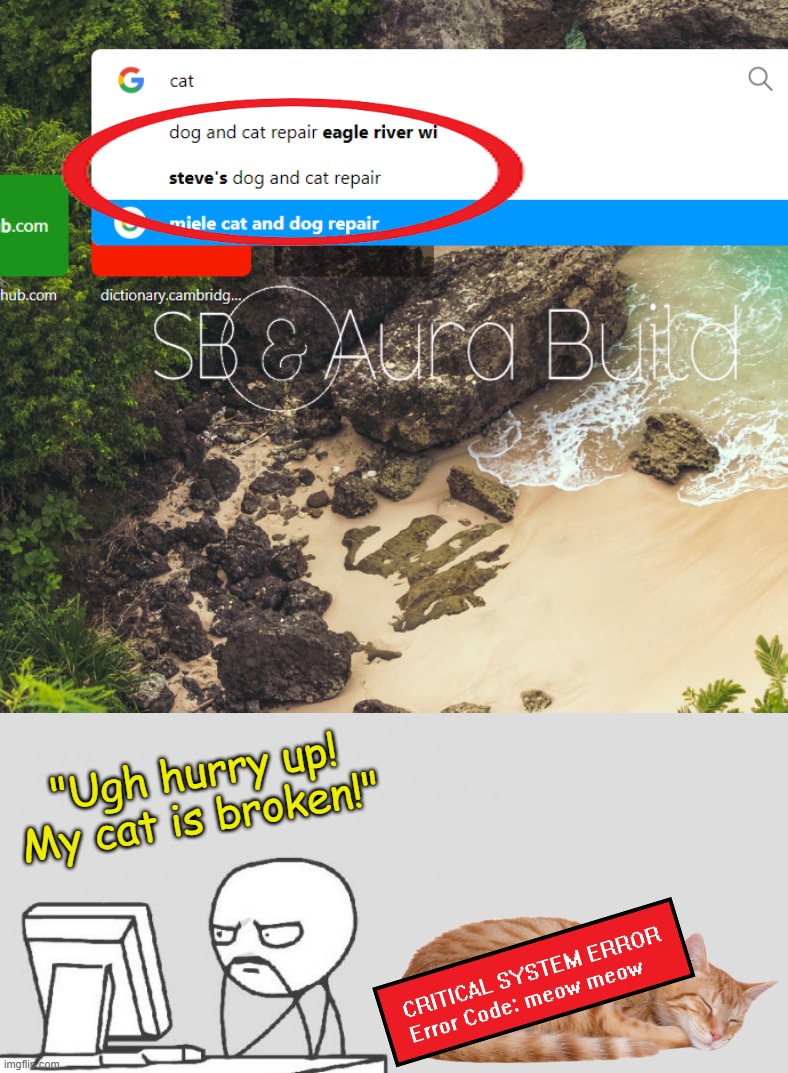 "Ugh hurry up! My cat is broken!" | made w/ Imgflip meme maker