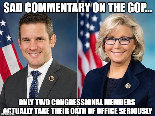 Even within the GOP party there are 'Schindlers' who differentiate fact from fiction | SAD COMMENTARY ON THE GOP... ONLY TWO CONGRESSIONAL MEMBERS 
ACTUALLY TAKE THEIR OATH OF OFFICE SERIOUSLY | image tagged in adam kinzenger,liz cheney,gop reps,ethics,jan 6th commission | made w/ Imgflip meme maker