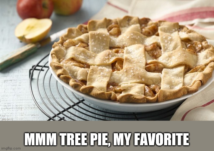 Oops I did it again.  I meant Apple pie because an apple is not a tree. | MMM TREE PIE, MY FAVORITE | image tagged in apple pie | made w/ Imgflip meme maker