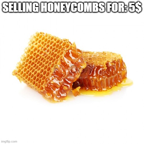 SELLING HONEYCOMBS FOR: 5$ | made w/ Imgflip meme maker