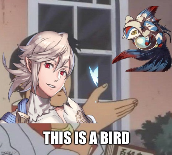 Fire emblem fates logic | THIS IS A BIRD | image tagged in funny memes | made w/ Imgflip meme maker