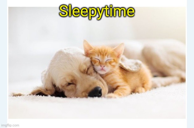 Sleepytime | made w/ Imgflip meme maker