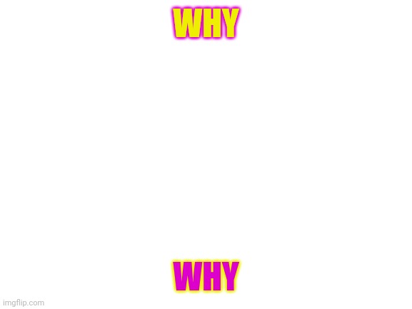 Blank White Template | WHY WHY | image tagged in blank white template | made w/ Imgflip meme maker