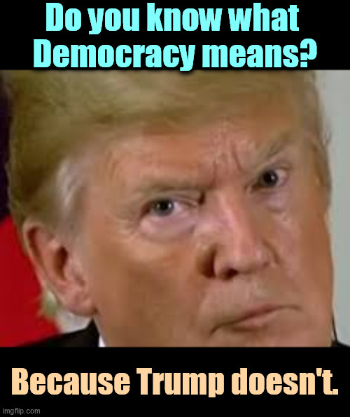 He doesn't care, either. | Do you know what 
Democracy means? Because Trump doesn't. | image tagged in trump eyes dilated,trump,hate,democracy | made w/ Imgflip meme maker