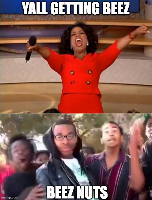 beez nuts | YALL GETTING BEEZ; BEEZ NUTS | image tagged in memes,oprah you get a,ohhhhhhhhhhhh | made w/ Imgflip meme maker