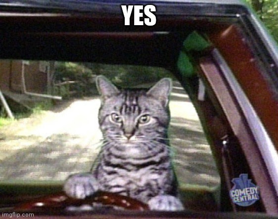 Toonsis the cat that could drive | YES | image tagged in toonsis the cat that could drive | made w/ Imgflip meme maker