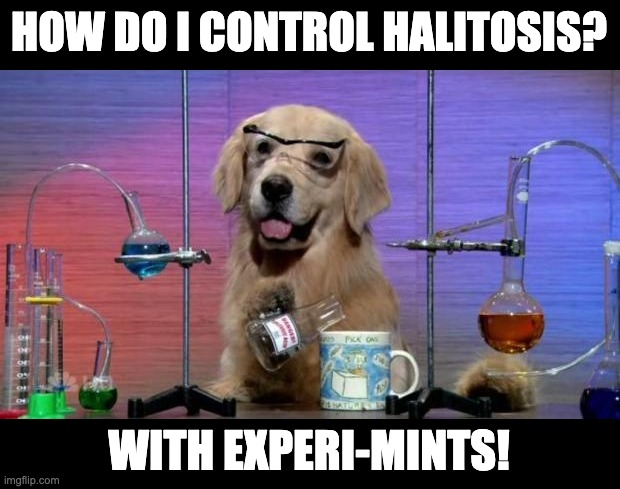 Bad breath? | HOW DO I CONTROL HALITOSIS? WITH EXPERI-MINTS! | image tagged in chemistry dog | made w/ Imgflip meme maker