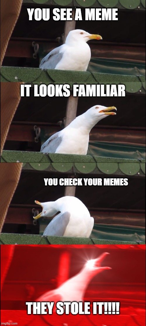 Meme Stealer | YOU SEE A MEME; IT LOOKS FAMILIAR; YOU CHECK YOUR MEMES; THEY STOLE IT!!!! | image tagged in memes,inhaling seagull | made w/ Imgflip meme maker