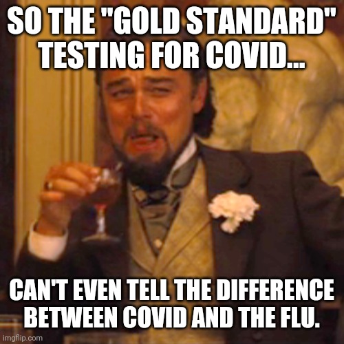 All flu cases were marked as covid. That's why the flu disappeared. | SO THE "GOLD STANDARD" TESTING FOR COVID... CAN'T EVEN TELL THE DIFFERENCE BETWEEN COVID AND THE FLU. | image tagged in memes | made w/ Imgflip meme maker
