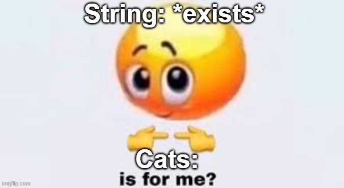 cat snatch stringy | String: *exists*; Cats: | image tagged in is for me,cats,funny memes | made w/ Imgflip meme maker