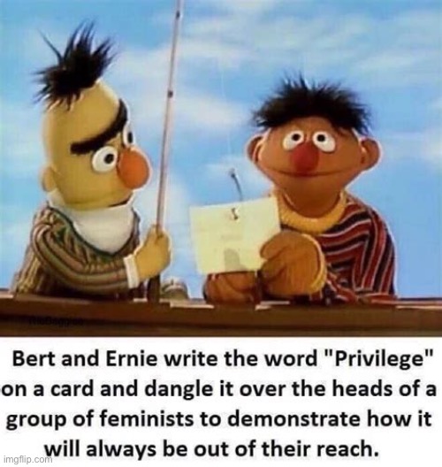 Put these mf’s in the hall of fame | image tagged in angry feminist | made w/ Imgflip meme maker