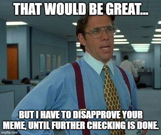 That Would Be Great |  THAT WOULD BE GREAT... BUT I HAVE TO DISAPPROVE YOUR MEME, UNTIL FURTHER CHECKING IS DONE. | image tagged in memes,that would be great | made w/ Imgflip meme maker
