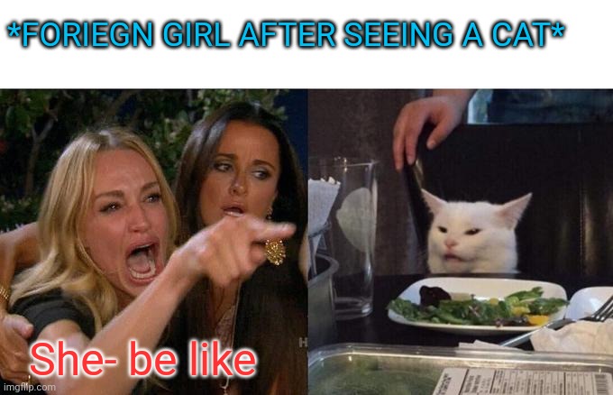 Funny memes | *FORIEGN GIRL AFTER SEEING A CAT*; She- be like | image tagged in memes,woman yelling at cat,lol so funny,foriegn girl be like,indian guy,can't control laughing | made w/ Imgflip meme maker