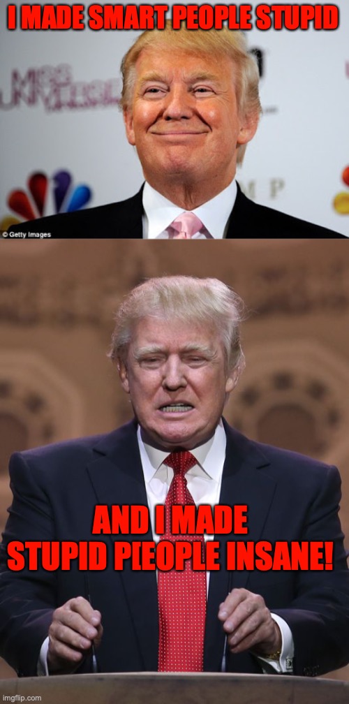 I MADE SMART PEOPLE STUPID; AND I MADE STUPID P[EOPLE INSANE! | image tagged in donald trump approves,donald trump | made w/ Imgflip meme maker