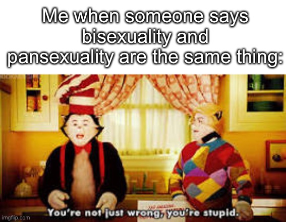 Your not just wrong your stupid | Me when someone says bisexuality and pansexuality are the same thing: | made w/ Imgflip meme maker