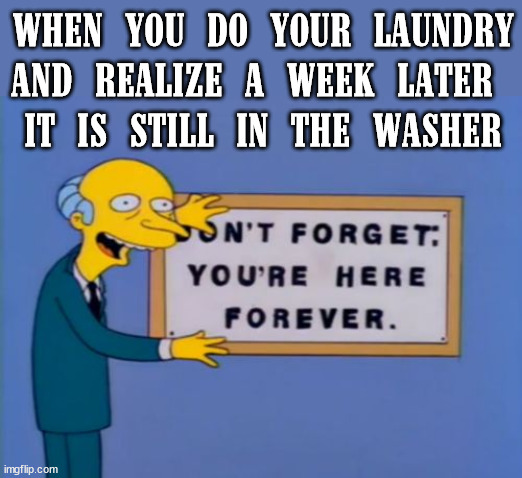 don't forget, your here forever. |  WHEN YOU DO YOUR LAUNDRY AND REALIZE A WEEK LATER 
IT IS STILL IN THE WASHER | image tagged in don't forget your here forever | made w/ Imgflip meme maker