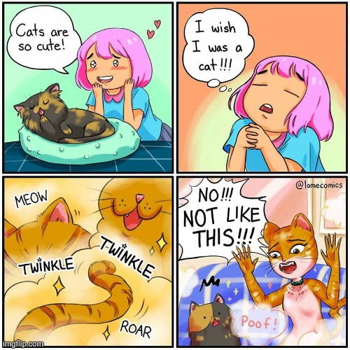 Sometimes we actually wouldn't want what we think we want now. | image tagged in funny,comics/cartoons,be careful what you wish for,cats,oops | made w/ Imgflip meme maker