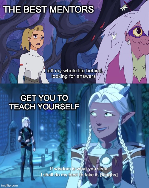 Charming . . . terrifying | THE BEST MENTORS GET YOU TO TEACH YOURSELF | image tagged in tv shows,dragon prince,she-ra | made w/ Imgflip meme maker