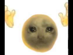 High Quality Cursed crying cat emoji Blank Meme Template