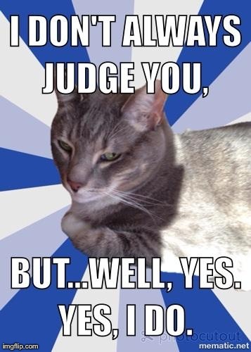 image tagged in judgmental cat | made w/ Imgflip meme maker