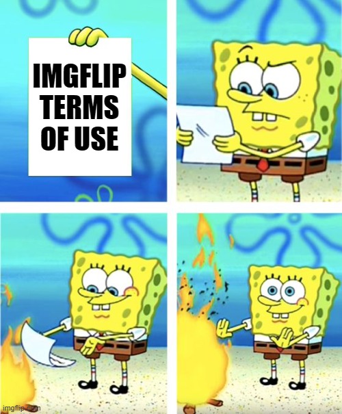 Spongebob Burning Paper | IMGFLIP TERMS OF USE | image tagged in spongebob burning paper | made w/ Imgflip meme maker