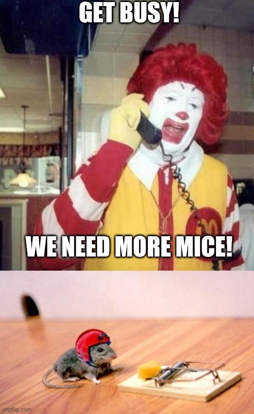 GET BUSY! WE NEED MORE MICE! | image tagged in ronald mcdonalds call,mouse trap | made w/ Imgflip meme maker