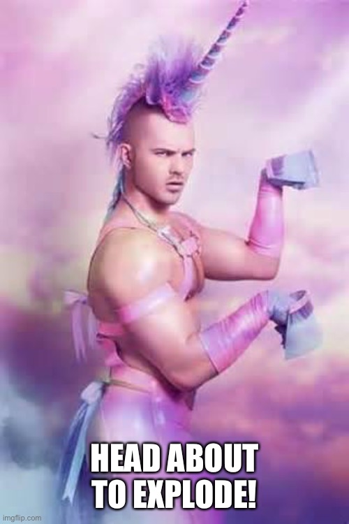 Gay Unicorn | HEAD ABOUT TO EXPLODE! | image tagged in gay unicorn | made w/ Imgflip meme maker