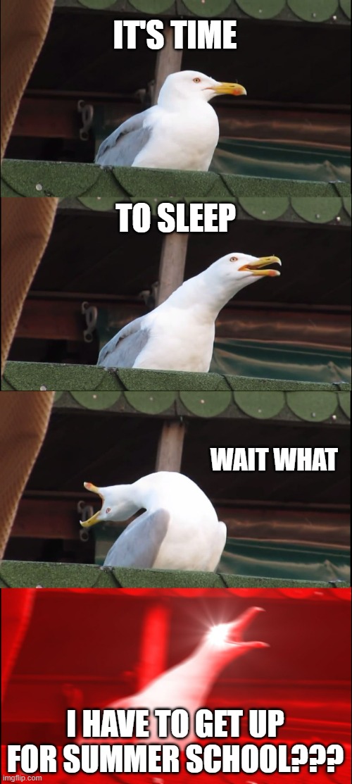 Note I don't have Summer School | IT'S TIME; TO SLEEP; WAIT WHAT; I HAVE TO GET UP FOR SUMMER SCHOOL??? | image tagged in memes,inhaling seagull,school,summer | made w/ Imgflip meme maker