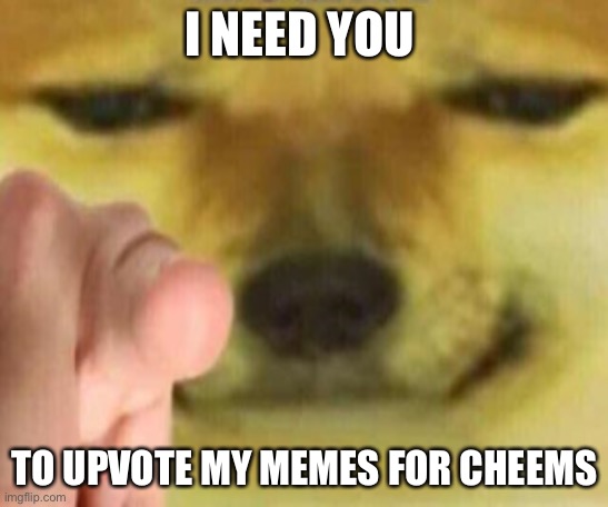 Upvote this or cheems will be sad | I NEED YOU; TO UPVOTE MY MEMES FOR CHEEMS | image tagged in cheems pointing at you,begging for upvotes,upvote,cheems,oh wow are you actually reading these tags | made w/ Imgflip meme maker