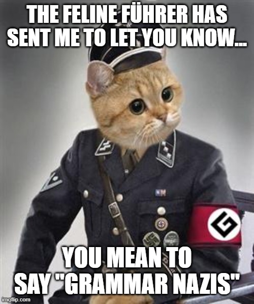 Grammar Nazi Cat | THE FELINE FÜHRER HAS SENT ME TO LET YOU KNOW... YOU MEAN TO SAY "GRAMMAR NAZIS" | image tagged in grammar nazi cat | made w/ Imgflip meme maker