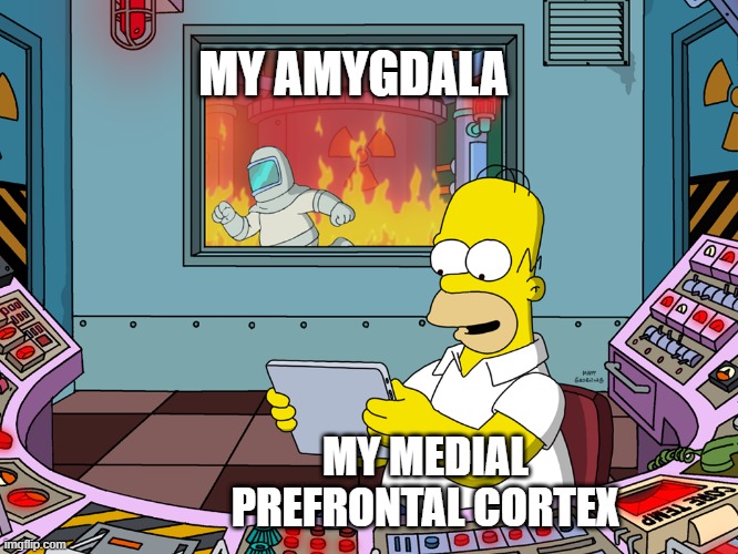 My Amygdala on Social Media | MY AMYGDALA; MY MEDIAL PREFRONTAL CORTEX | image tagged in homer simpson | made w/ Imgflip meme maker