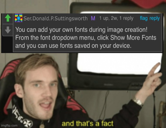 Been meaning to do a tutorial on adding fonts. Ser stated it nicely. | image tagged in and that's a fact,font,fonts | made w/ Imgflip meme maker