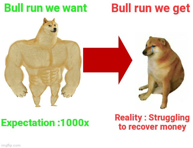 Crypto market | Bull run we want; Bull run we get; Reality : Struggling to recover money; Expectation :1000x | image tagged in memes,buff doge vs cheems | made w/ Imgflip meme maker