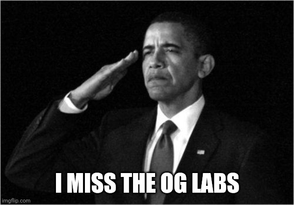 obama-salute | I MISS THE OG LABS | image tagged in obama-salute | made w/ Imgflip meme maker