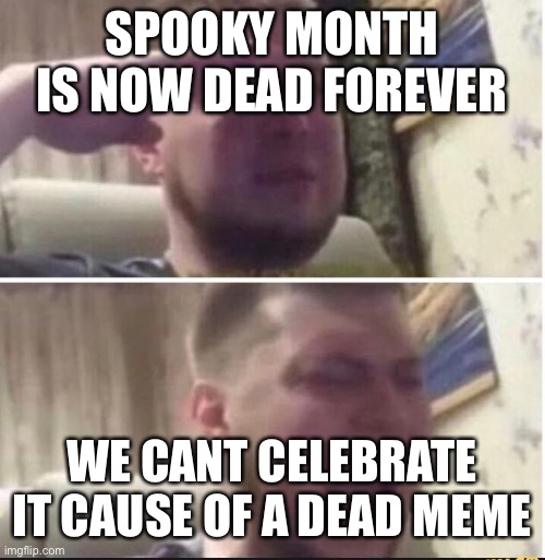 Crying salute | SPOOKY MONTH IS NOW DEAD FOREVER WE CANT CELEBRATE IT CAUSE OF A DEAD MEME | image tagged in crying salute | made w/ Imgflip meme maker