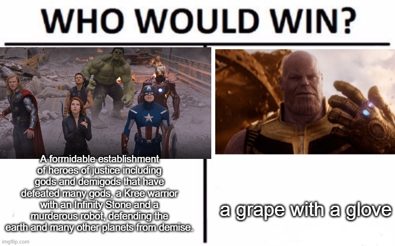 the grape duh. am i right? | A formidable establishment of heroes of justice including gods and demigods that have defeated many gods, a Kree warrior with an Infinity Stone and a murderous robot, defending the earth and many other planets from demise. a grape with a glove | image tagged in memes,who would win | made w/ Imgflip meme maker